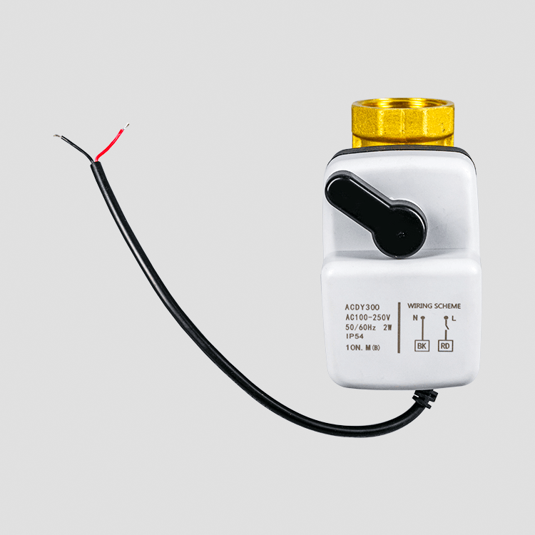 Dy-303 小型耐腐蚀手自一体电动球阀220V